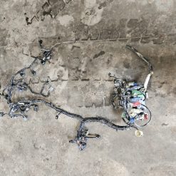 Ensemble faisceau Honda BF225