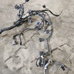 Ensemble faisceau Honda BF225