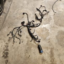 Faisceau Evinrude e-tec 200cv