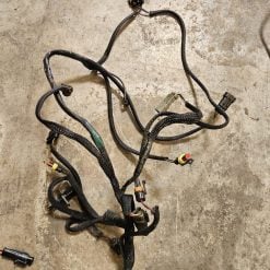 Faisceau Evinrude e-tec 200cv