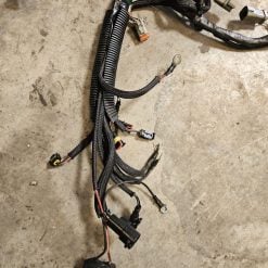 Faisceau Evinrude e-tec 200cv