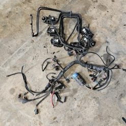 Faisceau complet avec bobines ficht ram evinrude 200cv