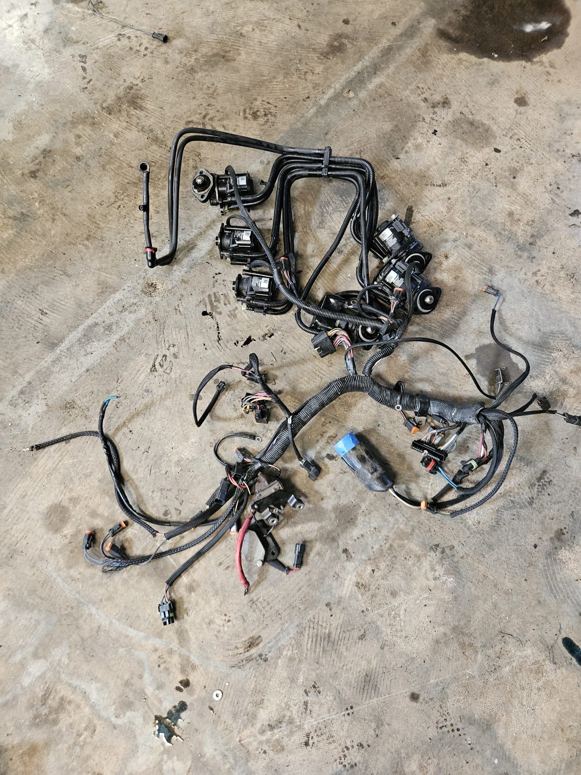Faisceau complet avec bobines ficht ram Evinrude 200cv