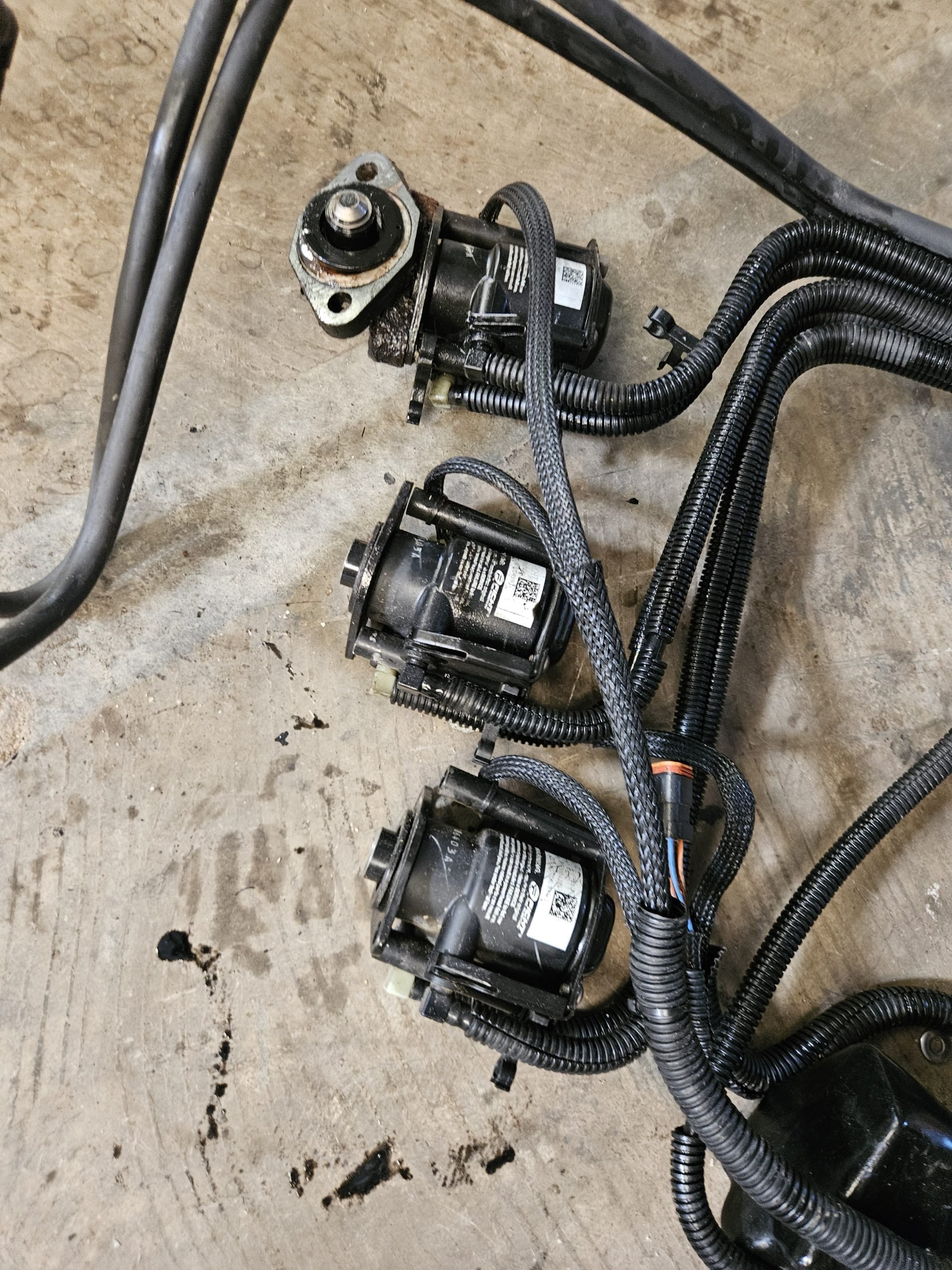 Faisceau complet avec bobines ficht ram Evinrude 200cv
