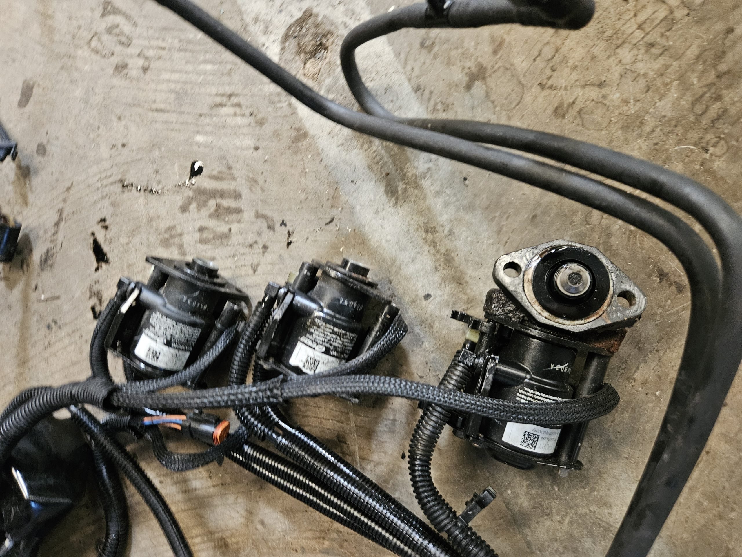 Faisceau complet avec bobines ficht ram Evinrude 200cv