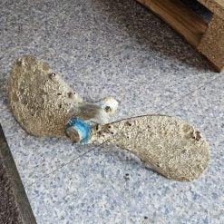 Hélice bronze bipale 13x10P arbre 22mm occasion