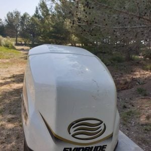 capot evinrude 115cv