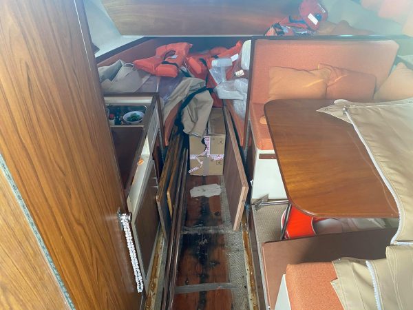 Bateau Vedette 28 Sport Express AMF Slickcraft