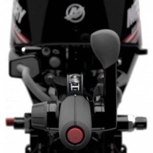 Moteur Mercury ME-F3.5 MH