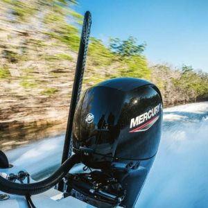 Moteur Mercury F150 EFI ELPT