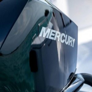Moteur Mercury F225 EFI NEW V6