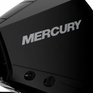 Moteur Mercury F175 EFI V6 NEW