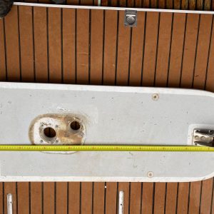 Delphinière avec davier