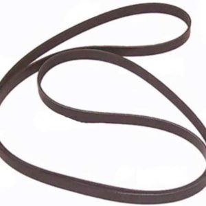 Courroie crantée Mercury