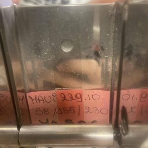 Davier d'étrave Brevettato 22910