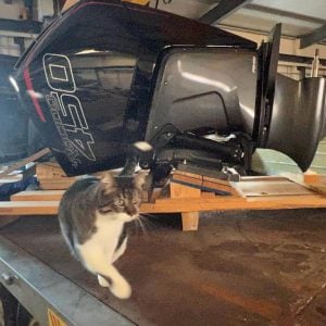 Mercury 450R V8 neuf L Black