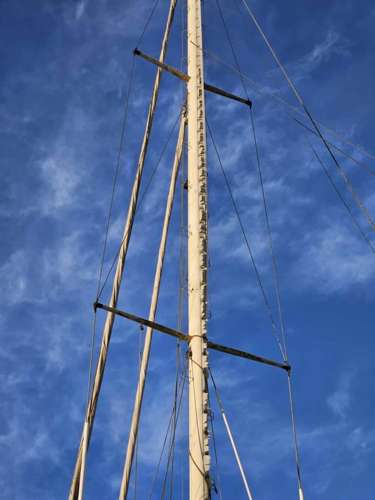 Mat enrouleur Tristwood 40  