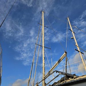 Mat enrouleur Tristwood 40  