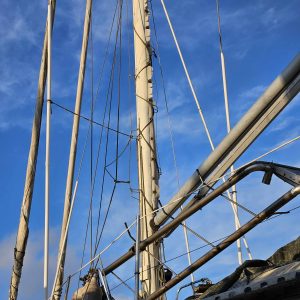 Mat enrouleur Tristwood 40