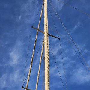 Mat enrouleur Tristwood 40