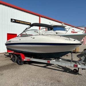 Bateau Bayliner 602 CU