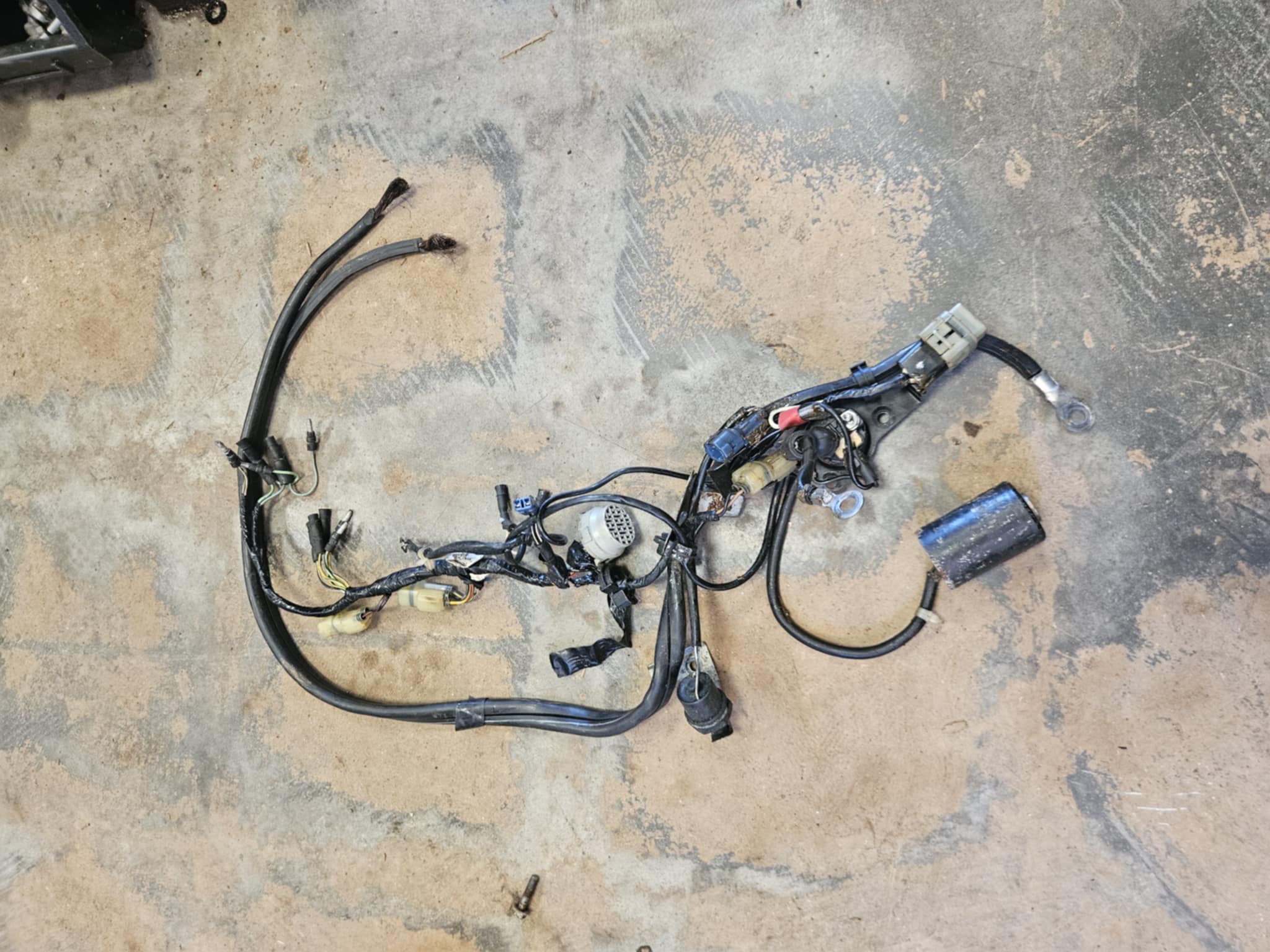 Faisceau moteur Honda BF50