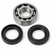 Kit roulement de carter Volvo Penta Orbitrade