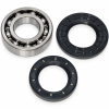 Kit roulement et joints de carter Volvo Penta