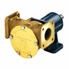 pompe Johnson F8B-3000VF 10-13024-1