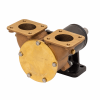 pompe Johnson F8B-3000TSS 10-13175-01