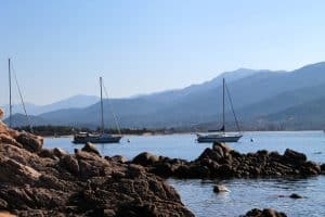 Vous recherchez une pièce pour votre moteur ou votre bateau ?