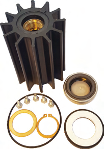 09-46599-1 – Kit entretien SPX Johnson