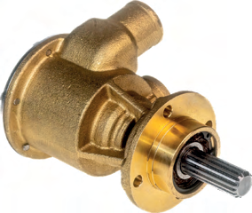 970316373 – Pompe Nanni SPX Johnson