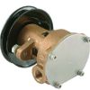 GM46936 – Pompe Kohler Sherwood